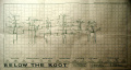 Below the Root - Map.jpg