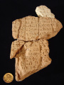 Instructions of Shuruppak - Clay Fragment from Bismaya, Adab, Iraq.jpg
