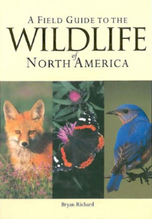 Field Guide to the Wildlife of North America, A - Paperback - USA - 1st Edition.jpg
