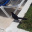 Animal - Bird - Grackle, Great-Tailed (Male) - Quiscalus mexicanus.jpg