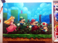 J2Dstar - Super Mario Bros. 2 Painting.jpg